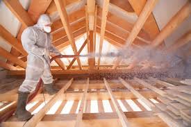 Best Eco-Friendly or Green Insulation Solutions  in Edwardsville, KS