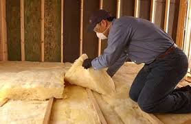 Best Wall Insulation Installation  in Edwardsville, KS